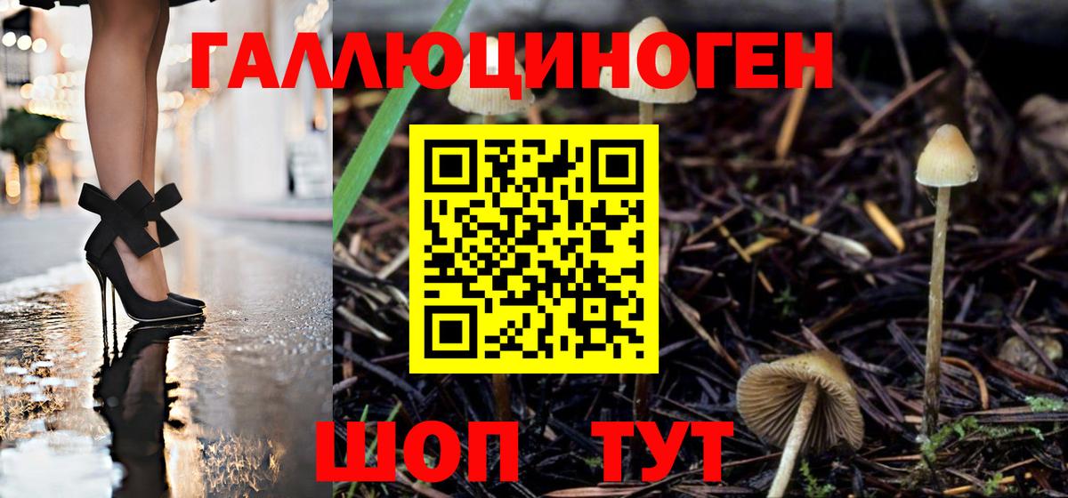 Галлюциногенные грибы мухоморы  Вход с VPN  Псилоцибиновые грибы Cubensis  Шали 