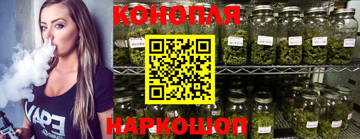 Бошки марихуана сатива  Бошки Шишки сатива  Шали  Вход с VPN 